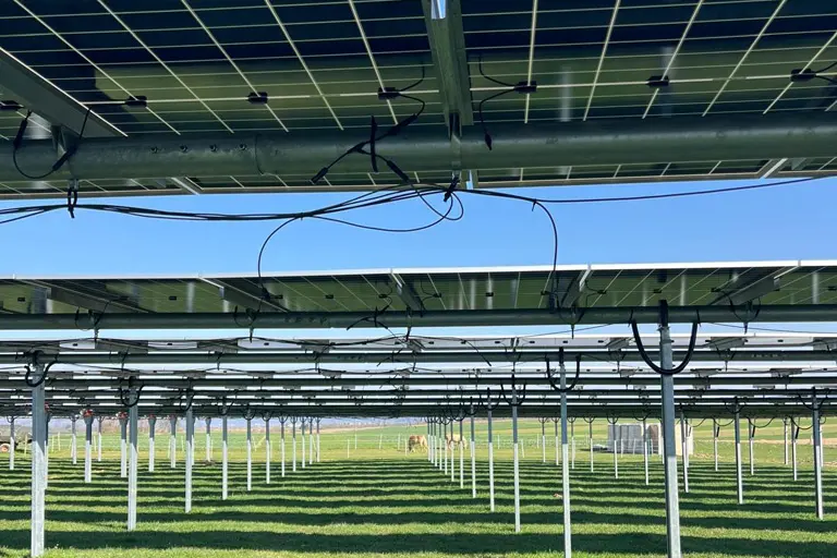 Agrivoltaic tracker project in Germany: 3.8 MWp of dual‑use solar energy