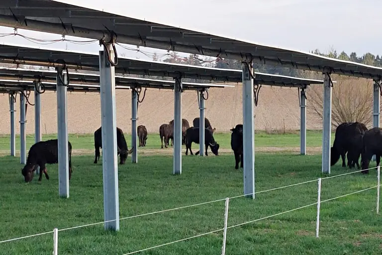 Dual-Use Photovoltaic Systems