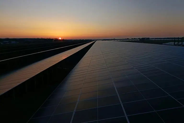 Maximizing solar panel lifespan